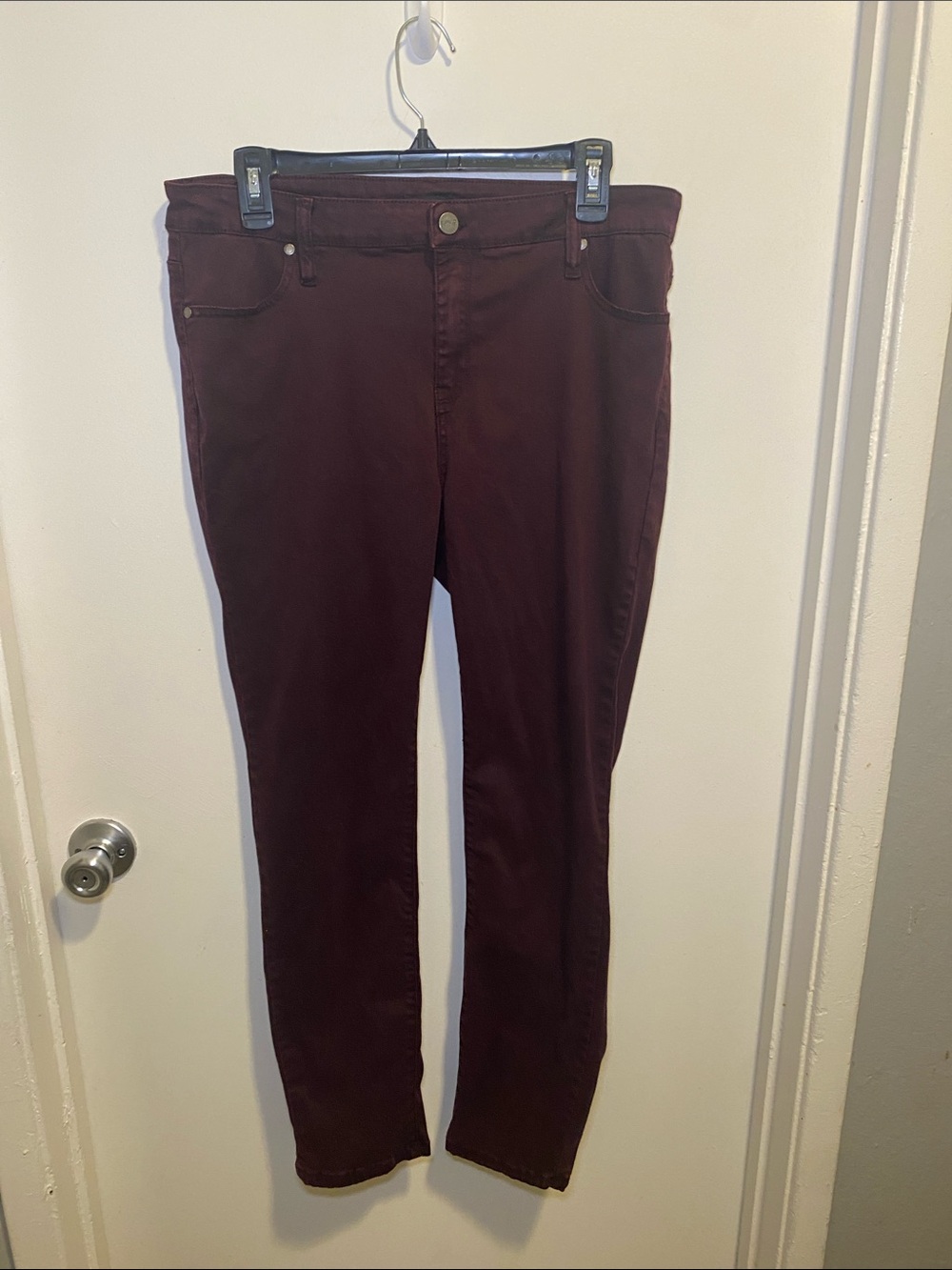 Buffalo David Bitton Women's Slim Pants in Wine